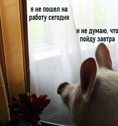Не пошел на работу завтра
