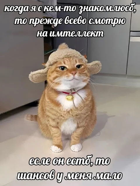 Сначала смотрю на интеллект