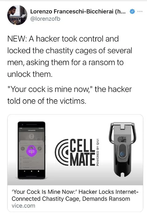 Hacker Locks Chastity Cages