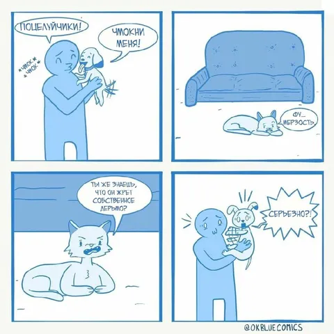 Кот ест собственное дерьмо