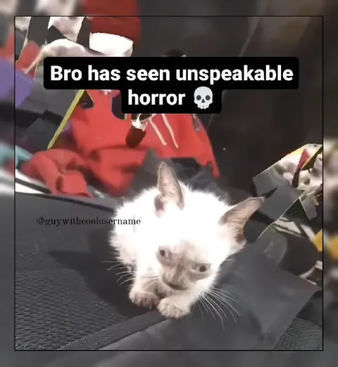 Bro Has Seen Un speakable Horror
