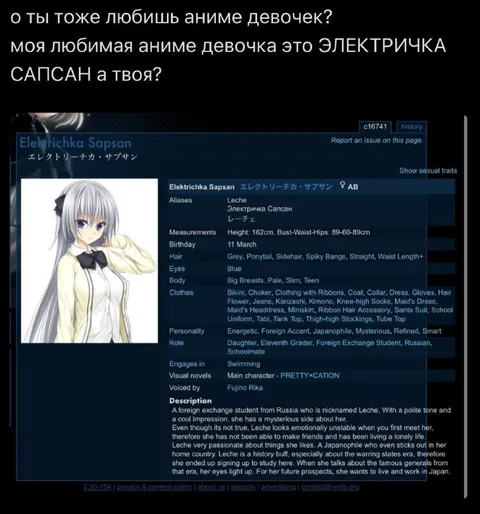 Любимая аниме-девочка — электричка
