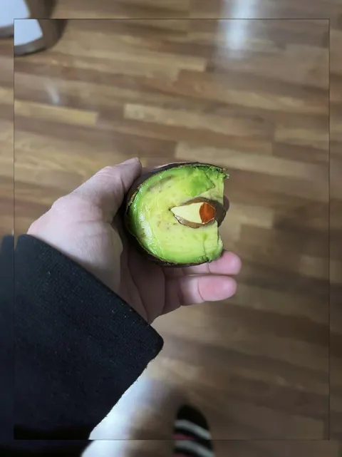 Авокадо с косточкой внутри