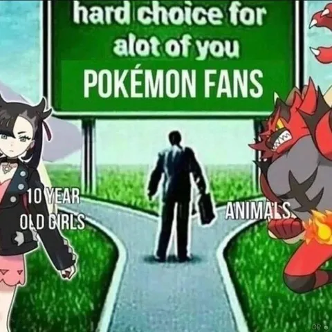 Pokémon Fans’ Hard Choice