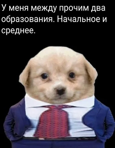 Два образования у щенка