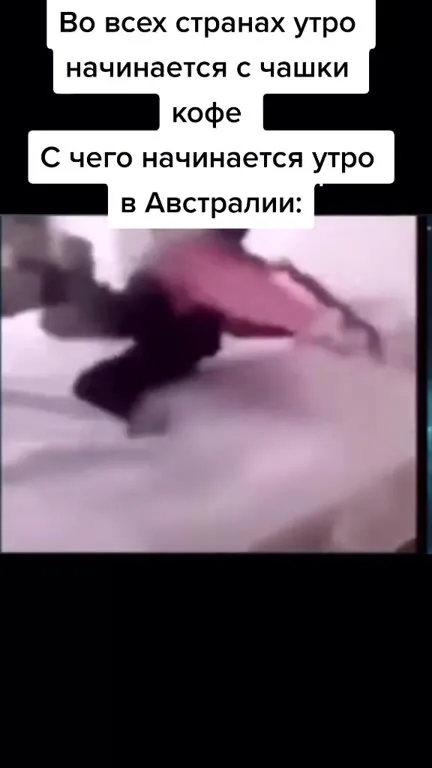 Австралийское утро с кенгуру