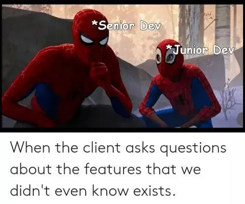 Senior and Junior Dev Questions