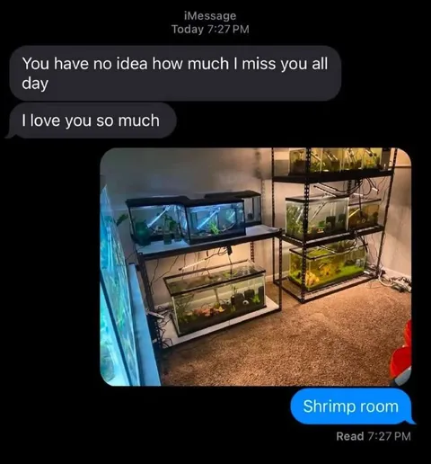 Shrimp Room Love Message