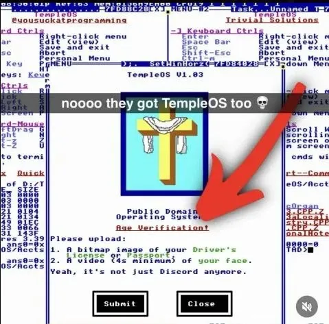 TempleOS Age Verification