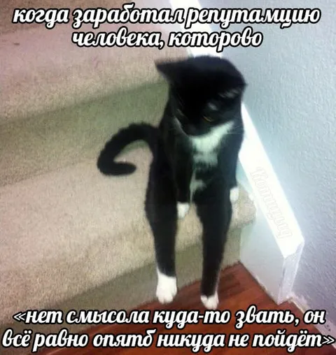 Репутация человека, который никуда не пойдёт