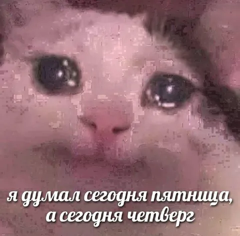 Я думал, сегодня пятница