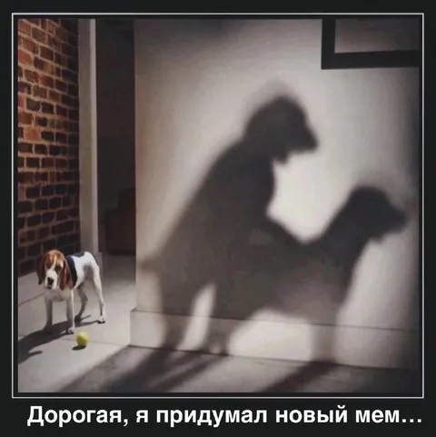Дорога, я придумал новый мем