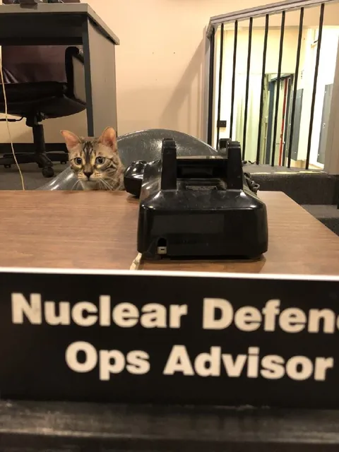 Nuclear Defense Ops Advisor Cat