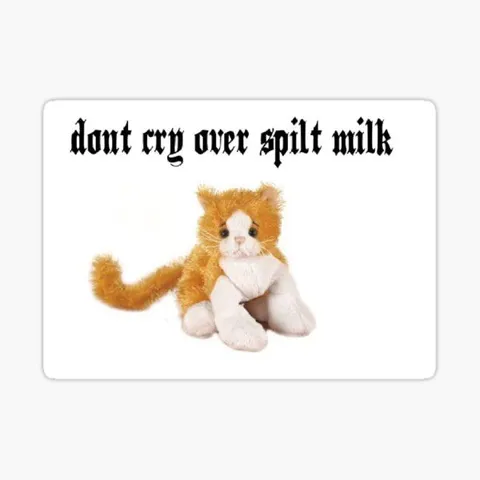 Don't Cry Over Spilt Milk