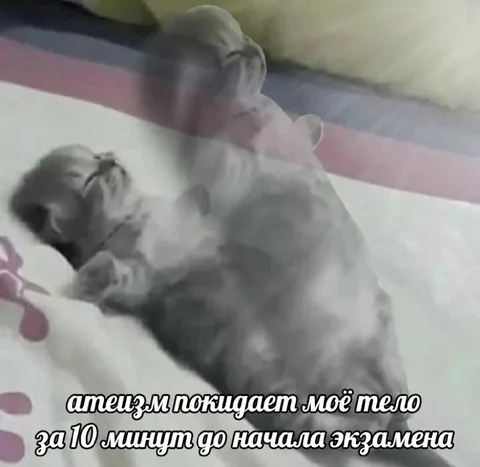 Атеизм покидает тело перед экзаменом
