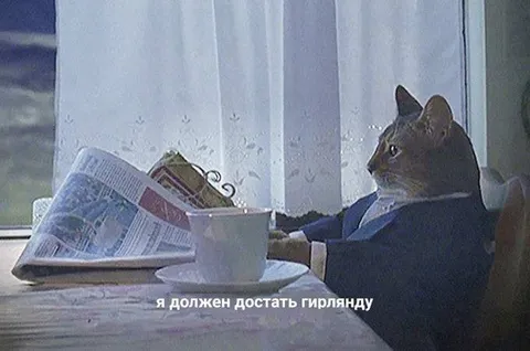 Я должен достать гирлянду