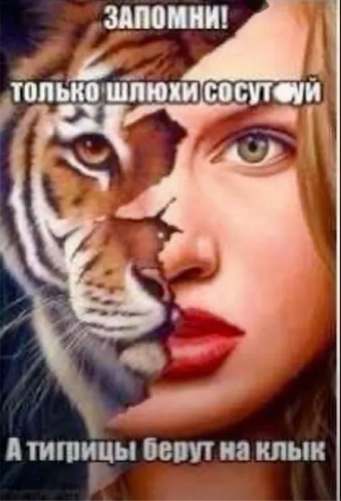 Тигрицы бегут на клык