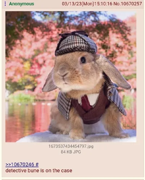 Detective Bunny On The Case