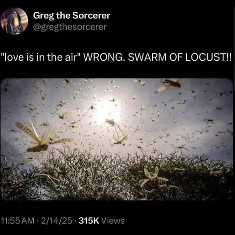 Love Is in the Air? Wrong, Locusts