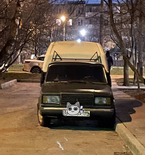 Кошка на старой машине