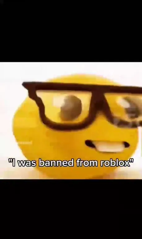 Banned From Everything