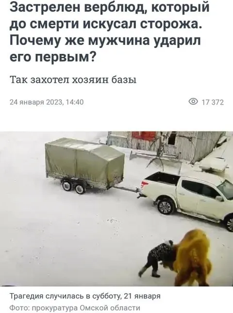 Застрелил верблюда первым