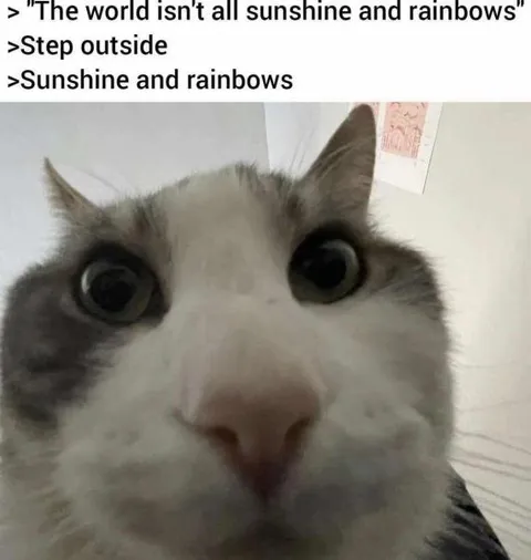 Sunshine and Rainbows Cat