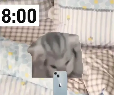 Кот дожил до полуночи