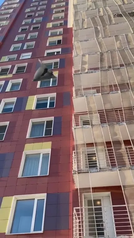 Падение в сугроб