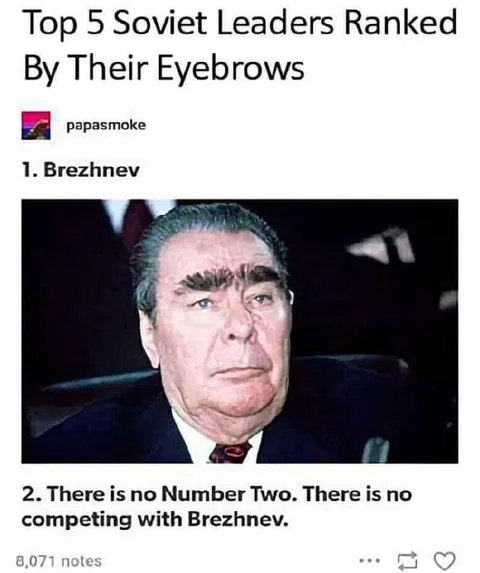 Brezhnev Eyebrow Ranking