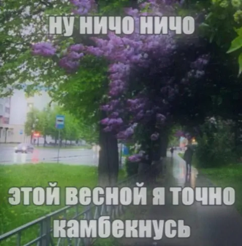 Этой весной я точно камбекнусь