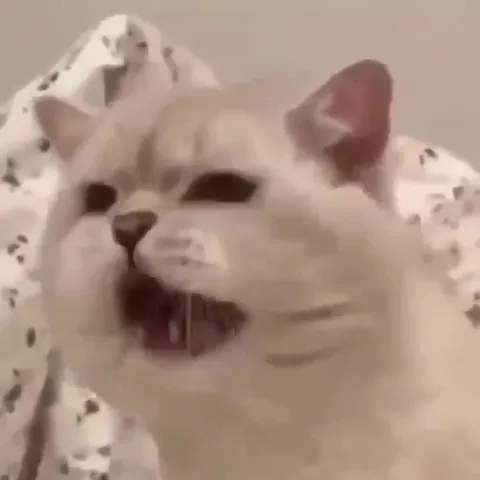 Cat Causes Unknown Errors