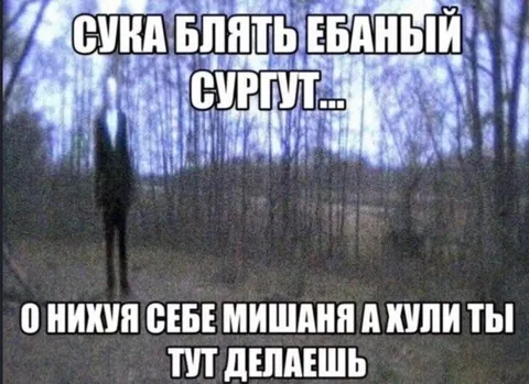 Сургутская мишана в лесу
