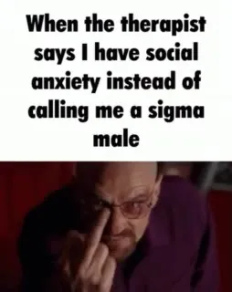 Therapist Calls Me a Sigma Male