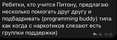 Программинг бадди для Питона