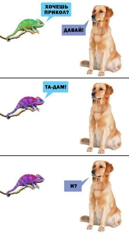 Хочешь прикол? Та-дам!