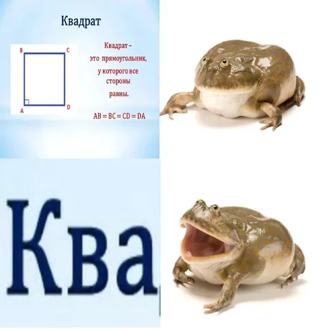 Квадрат и смеющаяся лягушка