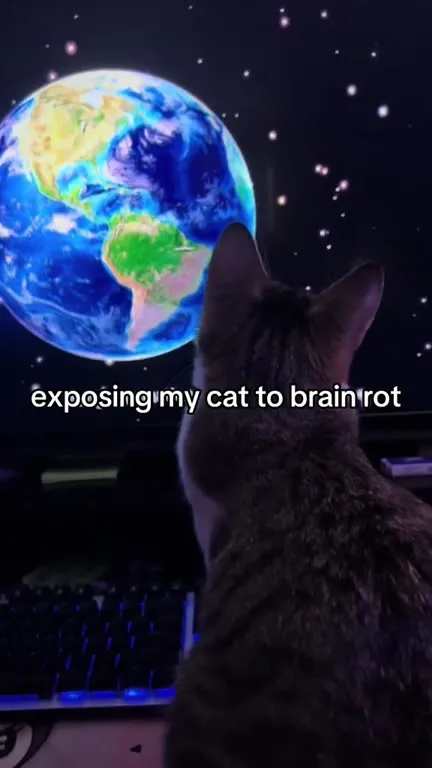 Exposing My Cat to Brain Rot