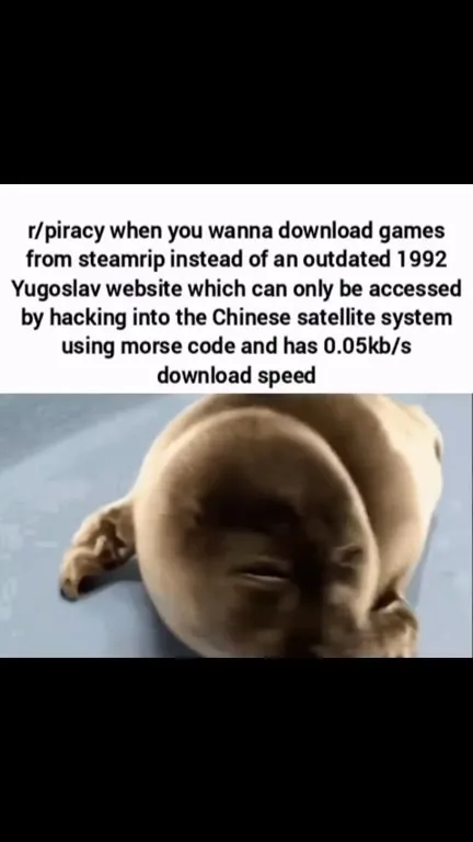 Piracy Download Speed Breakdown