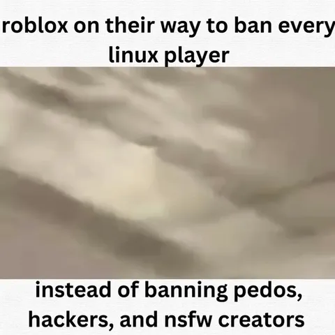 Roblox Bans Every Linux Player