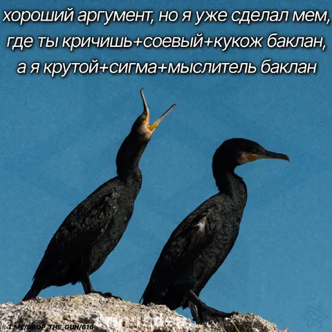 Крутой сигма-баклан