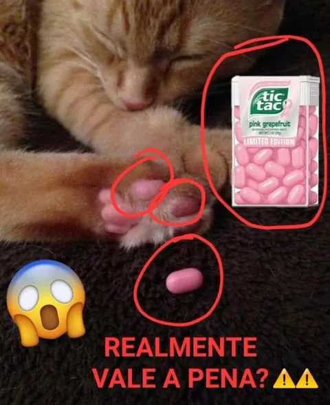 Realmente vale a pena?