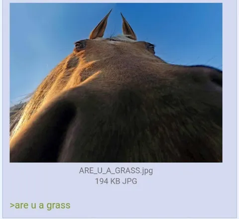 Are U a Grass Horse