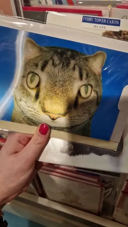 Lenticular Cat Card Changes Face