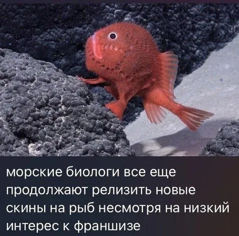 Новые скины на рыб
