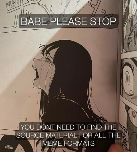 Babe Please Stop Meme Formats