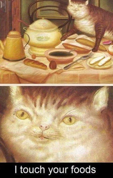 I Touch Your Foods Cat