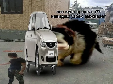 Невидимый узбек выживает