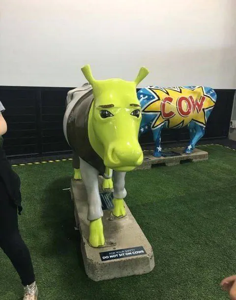 Do Not Sit on Cow