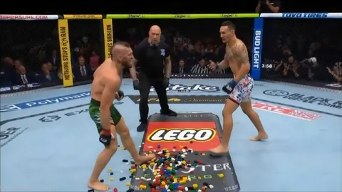 UFC Fighters Step on LEGO